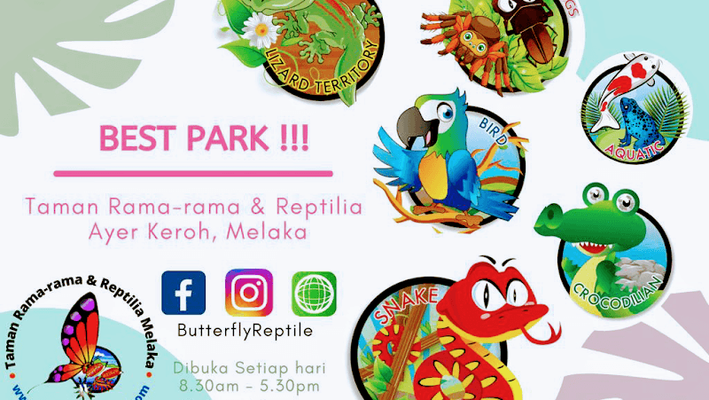 Melaka Butterfly & Reptile Sanctuary - Image 1