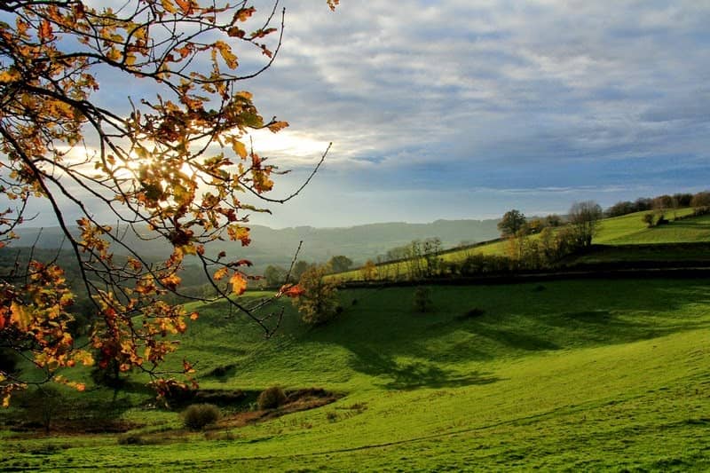 Parc naturel régional du Morvan - Image 1