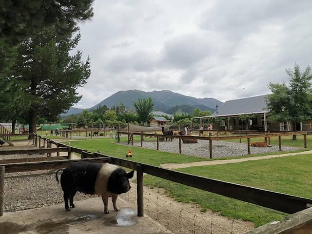 Hanmer Springs Animal Park - Image 1