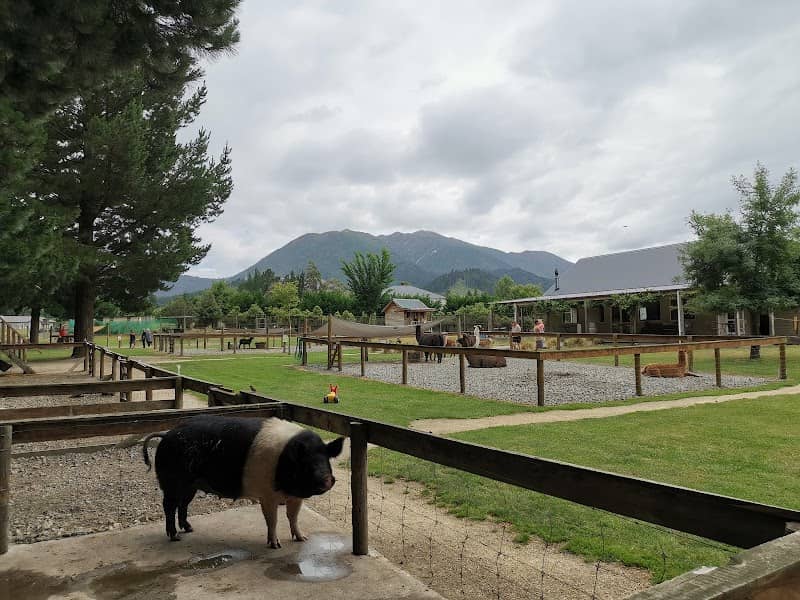 Hanmer Springs Animal Park - Image 1