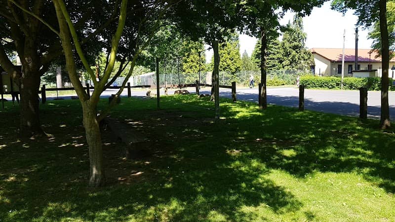 Niederseilpark Laußnitz - Image 1