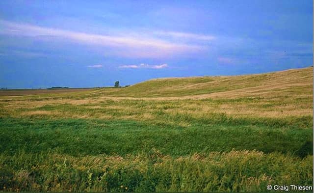 Compass Prairie Scientific and Natural Area - Image 2