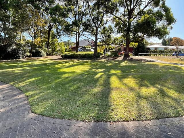 Kate Bird Park - Image 2
