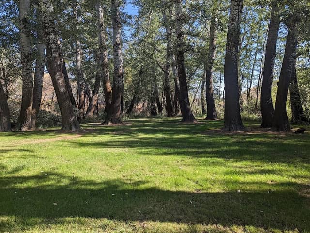 DeMoss Springs Memorial Park - Image 1