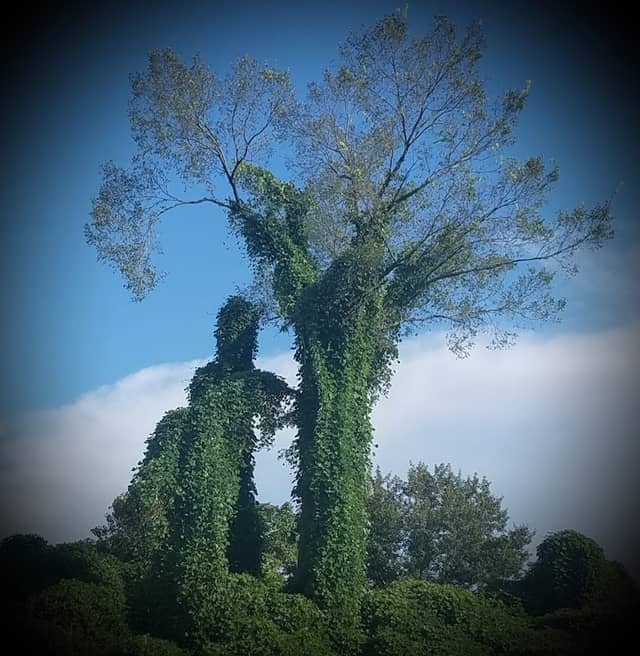 Rock Garden Park - Image 1