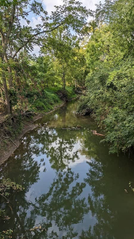 Swansea Clinton Hills Conservation Park - Image 1