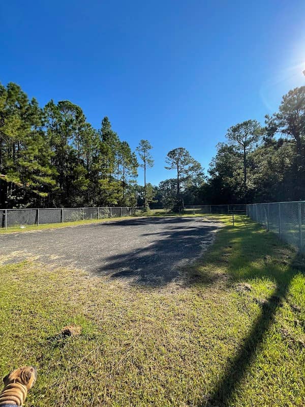 John Thomas Park - Image 2
