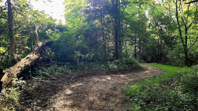 Raptor mountain bike trail head - Image 2