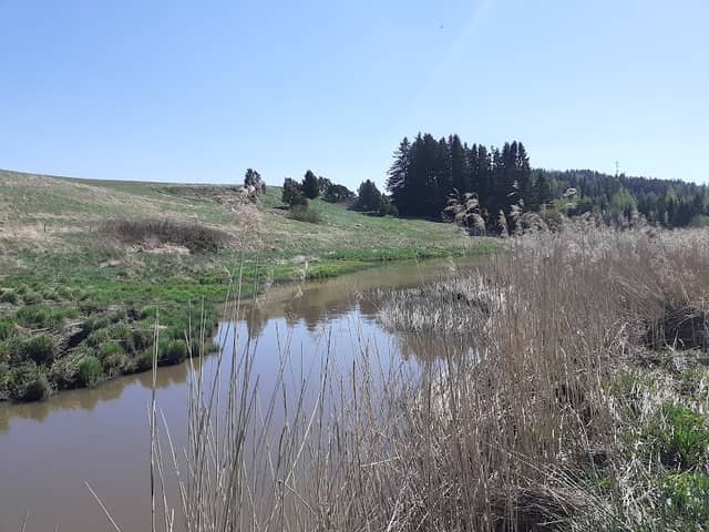 Häntälänkoski - Image 2