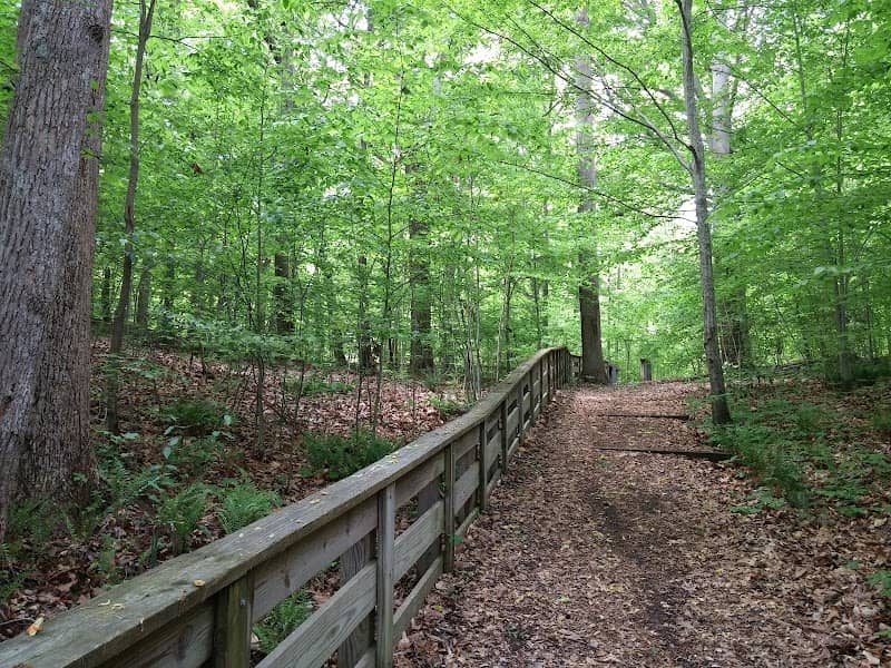 Lee's Mill Historic Park - Image 2