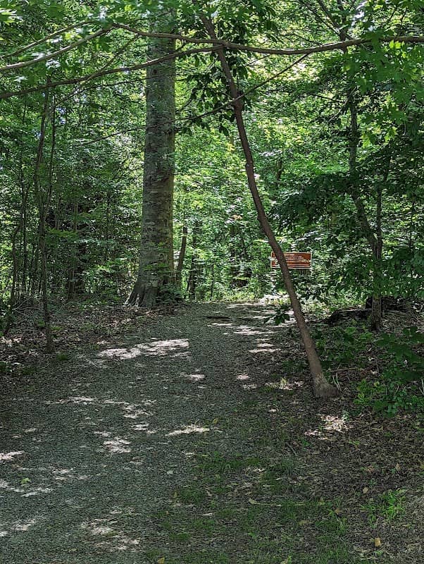 Lee's Mill Historic Park - Image 1
