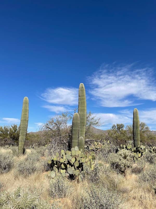 Cumbres del Desierto Park - Image 1