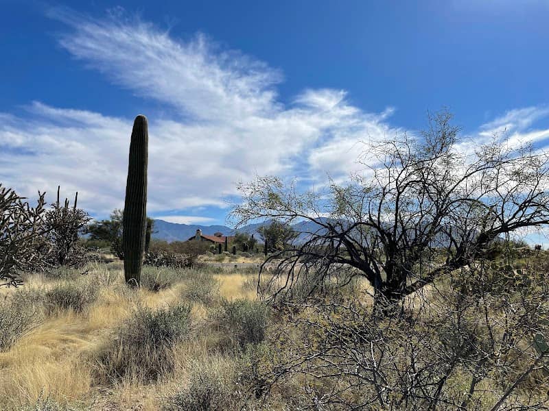 Cumbres del Desierto Park - Image 2