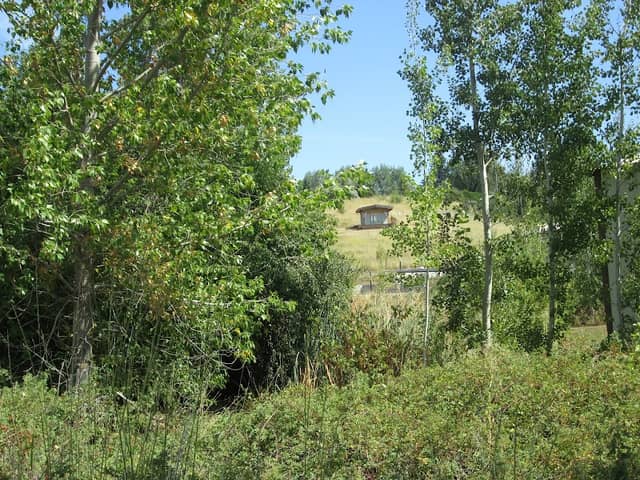 Palouse-Clearwater Environmental Institute - Image 2