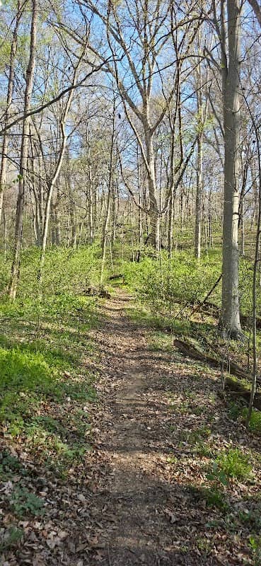Dinsmore Woods State Nature Preserve - Image 1