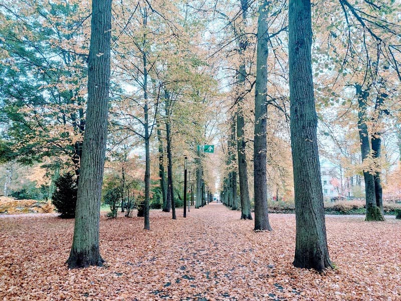 Deutsche Alleenstraßen Denkmal - Image 1