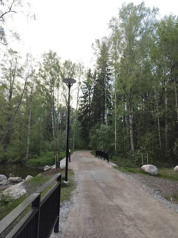 Metsopuisto - Image 1