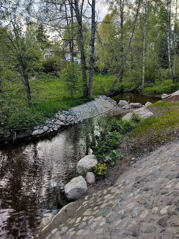 Metsopuisto - Image 2
