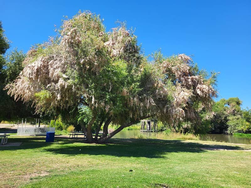 Riverside Park - Image 2