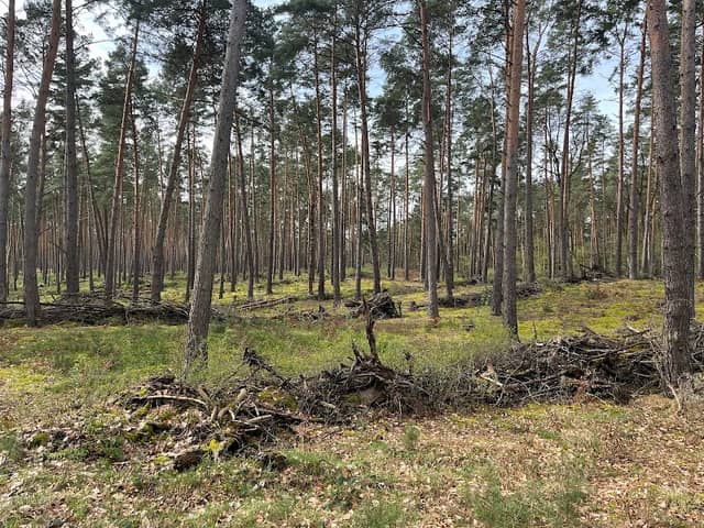 Moosfenn Hochmoor - Image 1