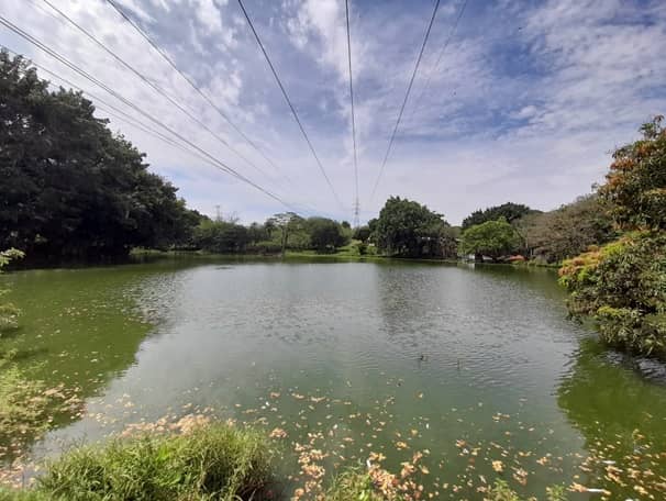 Humedal Club Campestre - Image 1