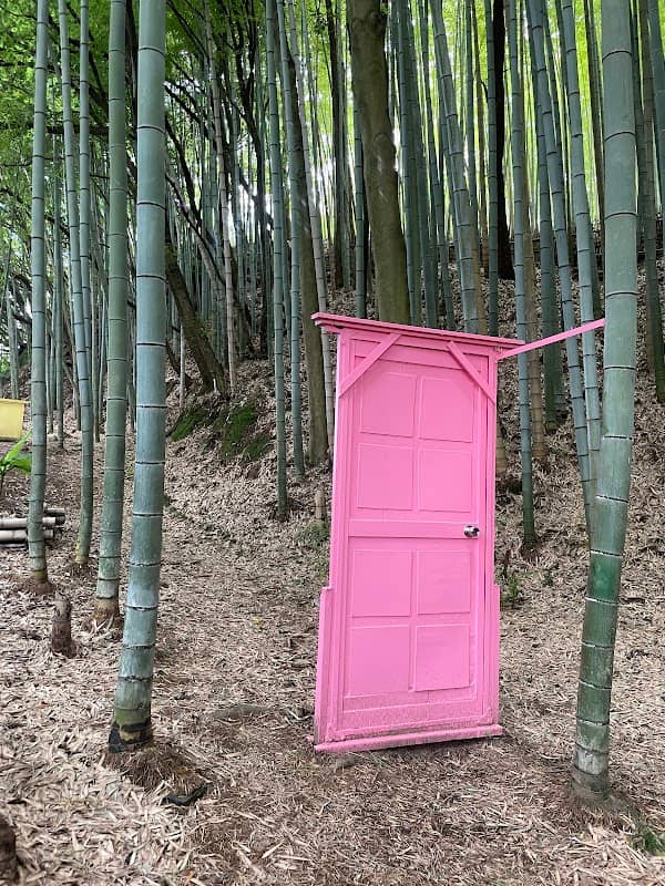 天王池の竹林 - Image 2