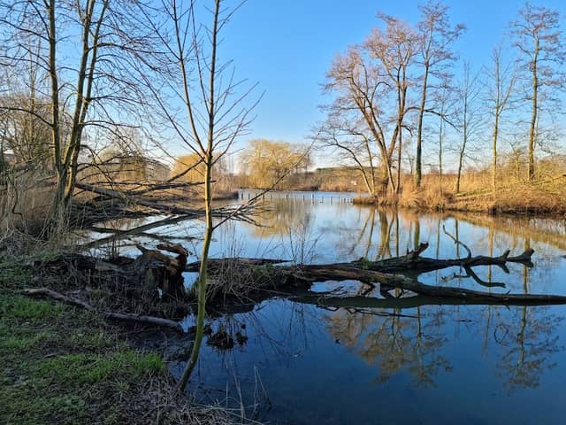 Heemtuin - Image 1