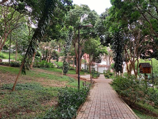 Los Sarrapios Park - Image 2