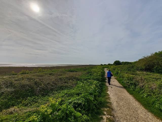 Pegwell Nature Reserve - Image 2
