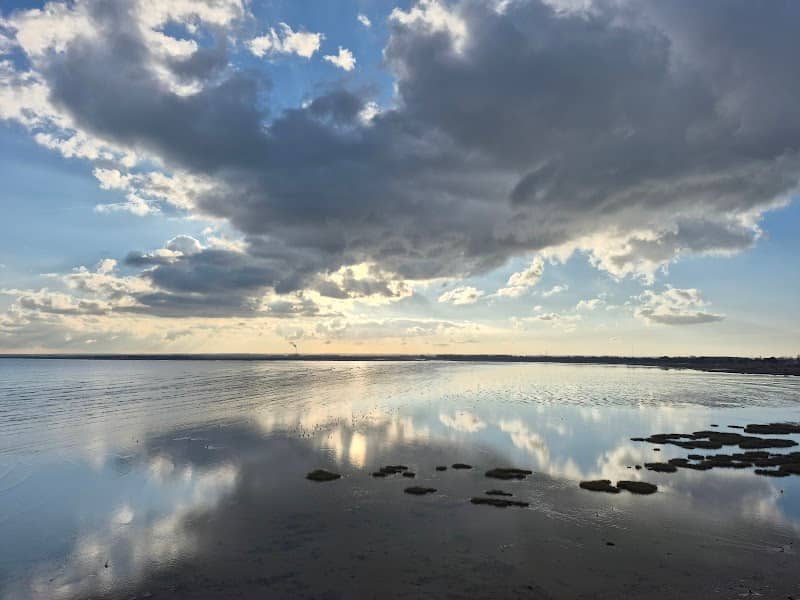 Pegwell Nature Reserve - Image 1