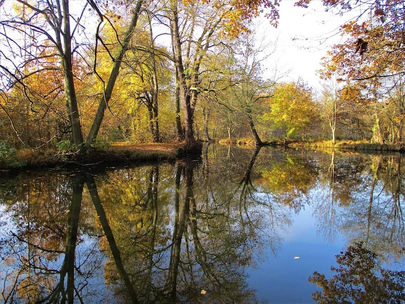 Jezuitská jezera - Image 1