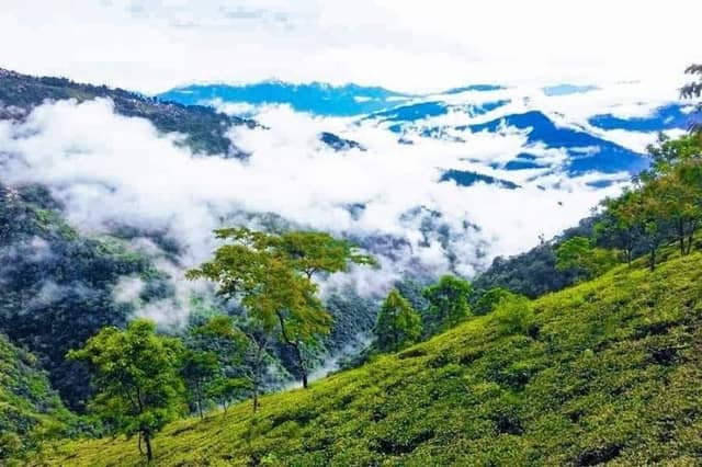 Rangaroon view point - Image 1
