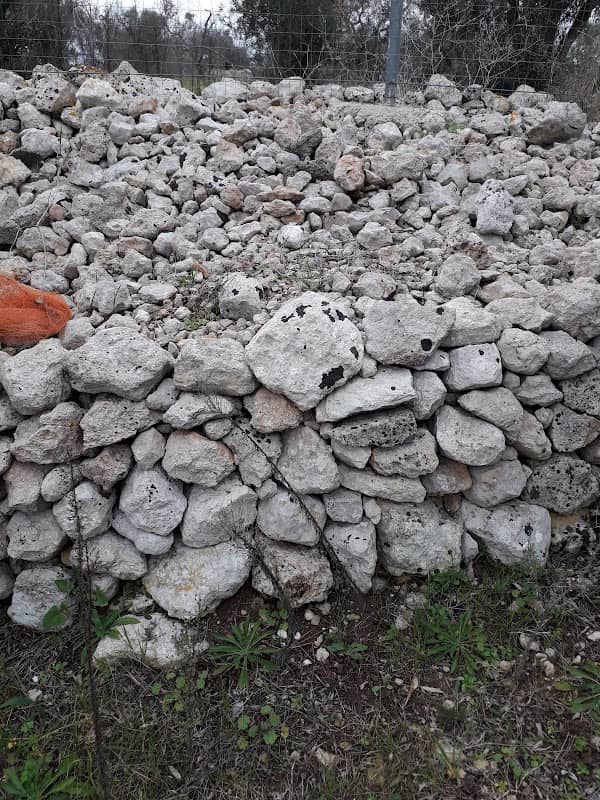 Specchia di San Vito - Image 1