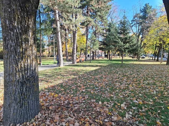 Mali Park - Image 2
