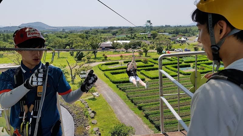 Jeju zipline - Image 1