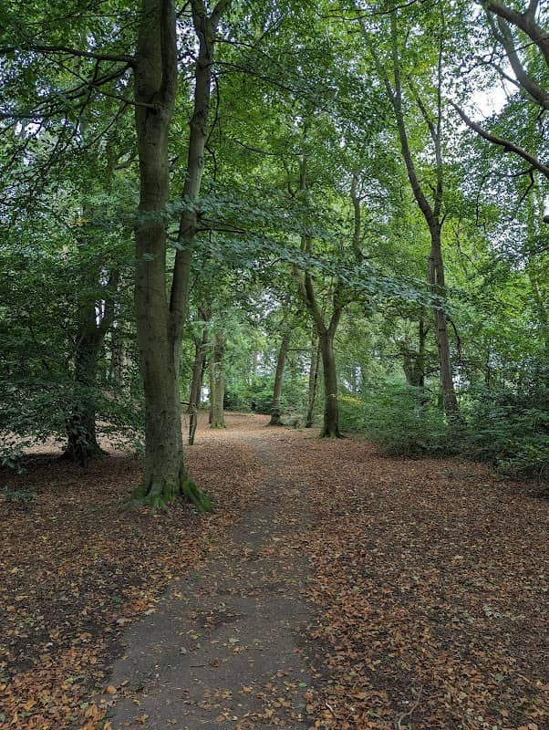 Reres Park - Image 2