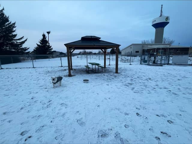 Paws Park - Image 1