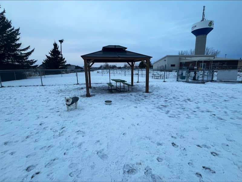 Paws Park - Image 1