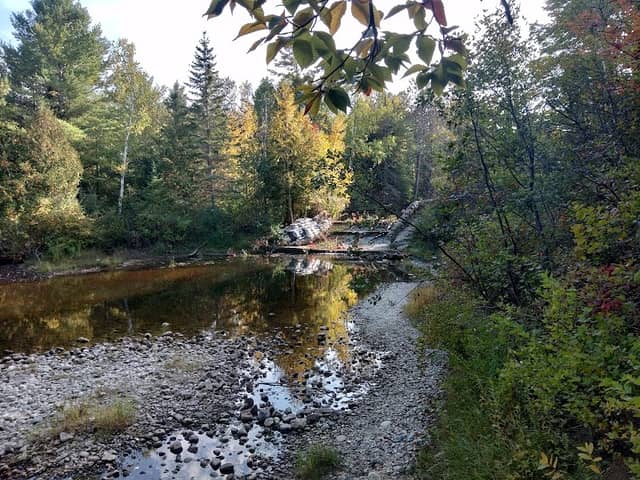 Herman Vogler Conservation Area - Image 2