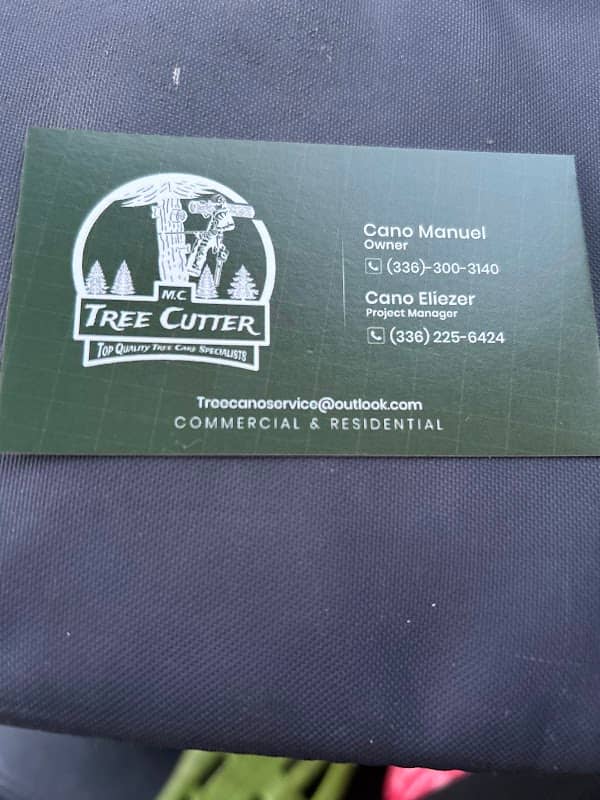 treecanoservice - Image 1