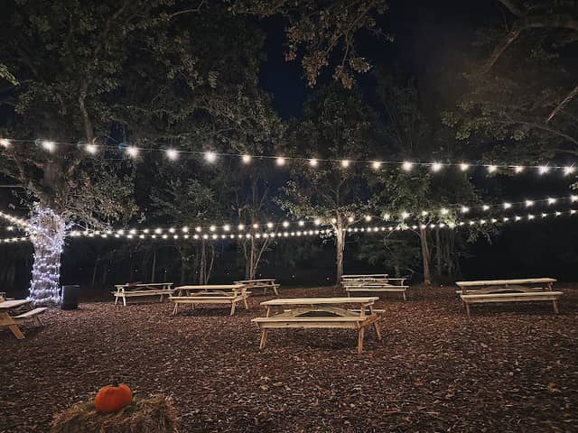 Copperhead Island - Image 1