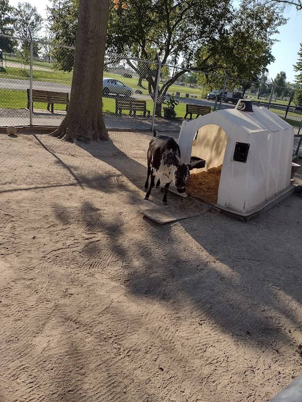 Tri-Township Park Zoo - Image 1