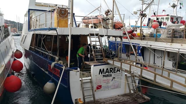 Diving Marea - Image 1