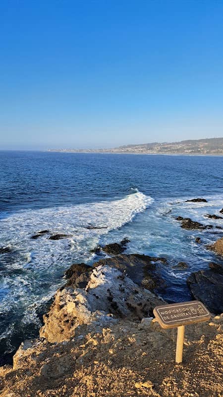 El Mirador - Image 1