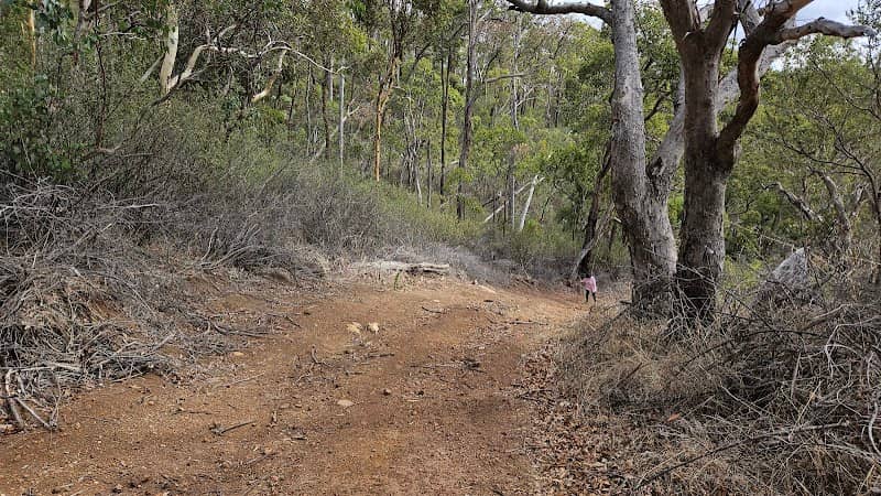 Churchman's Parkland - Image 1