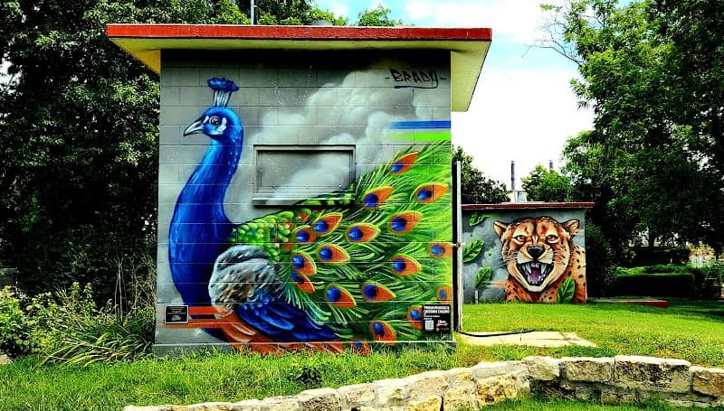 'Proud Peacock' Mural - Image 1