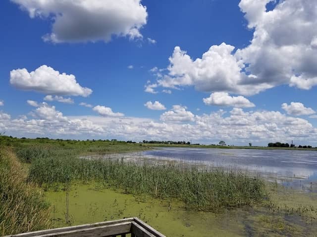 Goose Lake - Image 1