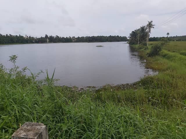 Chemmanda Padam (ചെമ്മണ്ട പാടം) - Image 1