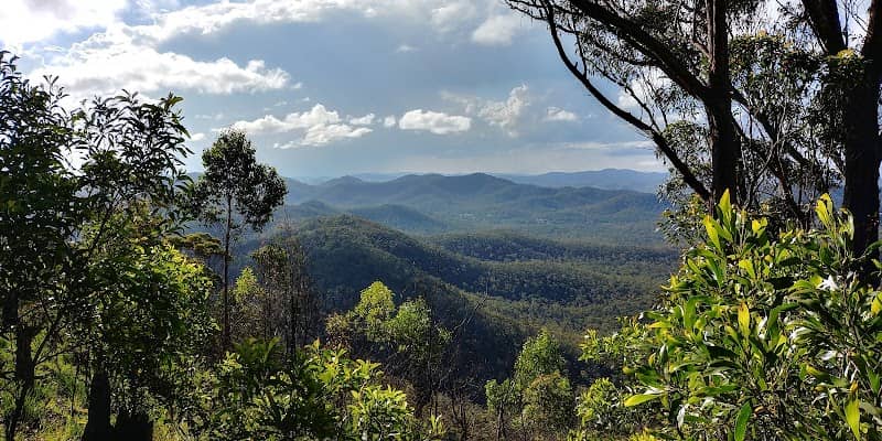 Herberton Range National Park - Image 1