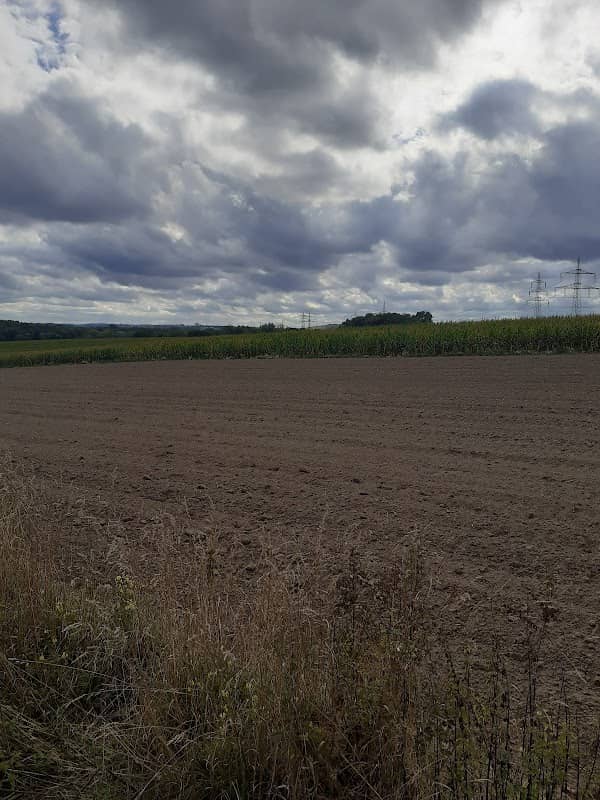 Aussichtspunkt Harpen - Image 2